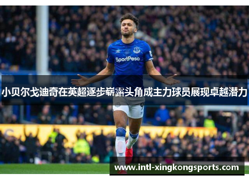 小贝尔戈迪奇在英超逐步崭露头角成主力球员展现卓越潜力
