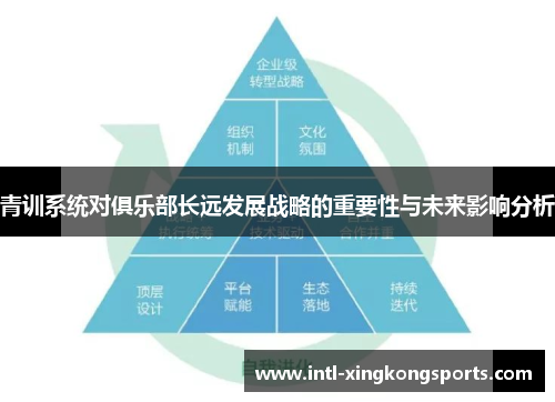 青训系统对俱乐部长远发展战略的重要性与未来影响分析